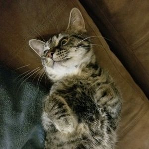 Meet your Posher, April